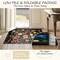 Spring Floral 5x7 Area Rug Machine Washable Boho Carpet Non Slip Doormat Low Pile Flower Area Rugs for Living Room Bedroom Kitchen Dining Room Hallway Entryway Indoor-Black